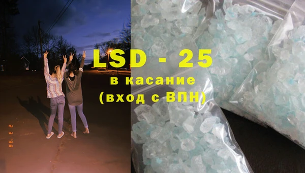 шишки Белоозёрский