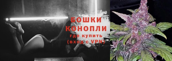шишки Белоозёрский