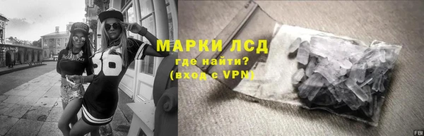 шишки Белоозёрский
