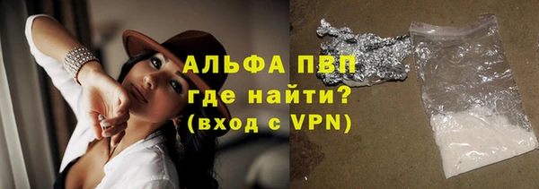шишки Белоозёрский