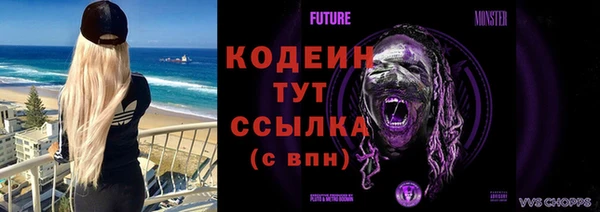шишки Белоозёрский