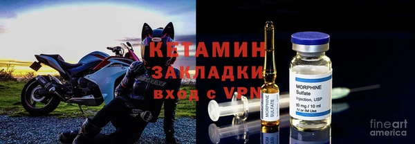 ГАЛЛЮЦИНОГЕННЫЕ ГРИБЫ Белокуриха