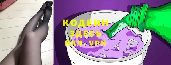 шишки Белоозёрский
