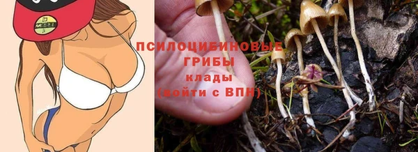 шишки Белоозёрский