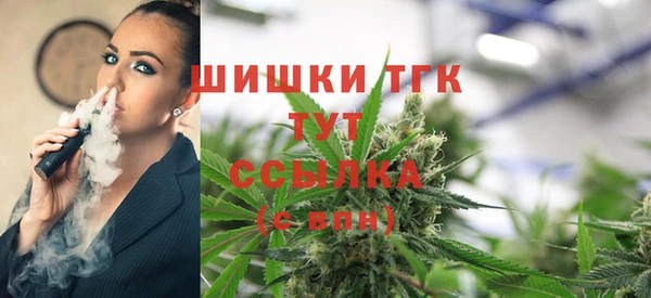 шишки Белоозёрский