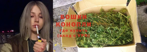 шишки Белоозёрский